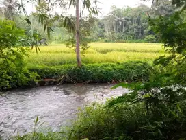 di jual lahan kebun & sawah ada air panas di subang