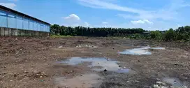 Dijual Tanah luas 1 hectare Lokasi strategis jarang ada