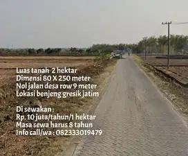 Di sewakan tanah luas 2 ha nol jalan jalur kab