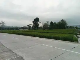 Tanah pertanian subur view indah dimatesih