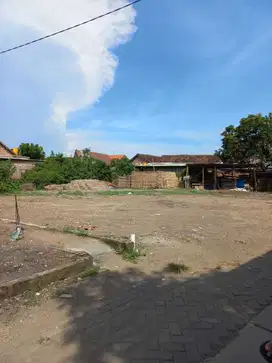 Tanah murah Bluru
