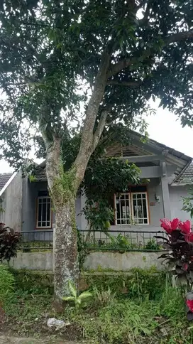 Rumah Luas 200 m Buring Cemorokandang Malang
