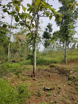 Dijual Tanah LT 8690 m² di Mekarlaksana, Ciparay Bandung