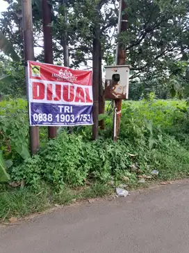 Tanah luas harga murah