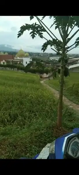 Dijual Tanah Sawah Kavling Per 25 TBK di Jl Bypass Cicalengka Bandung