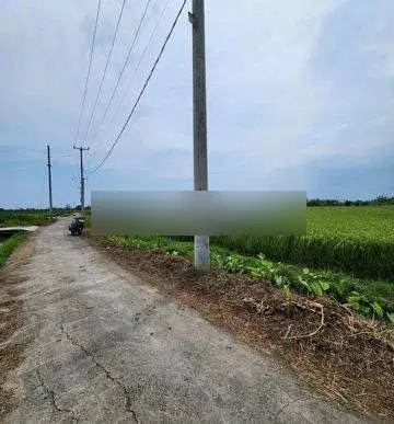 Tanah view sawah cuma 4 menit ke pantai kedungu