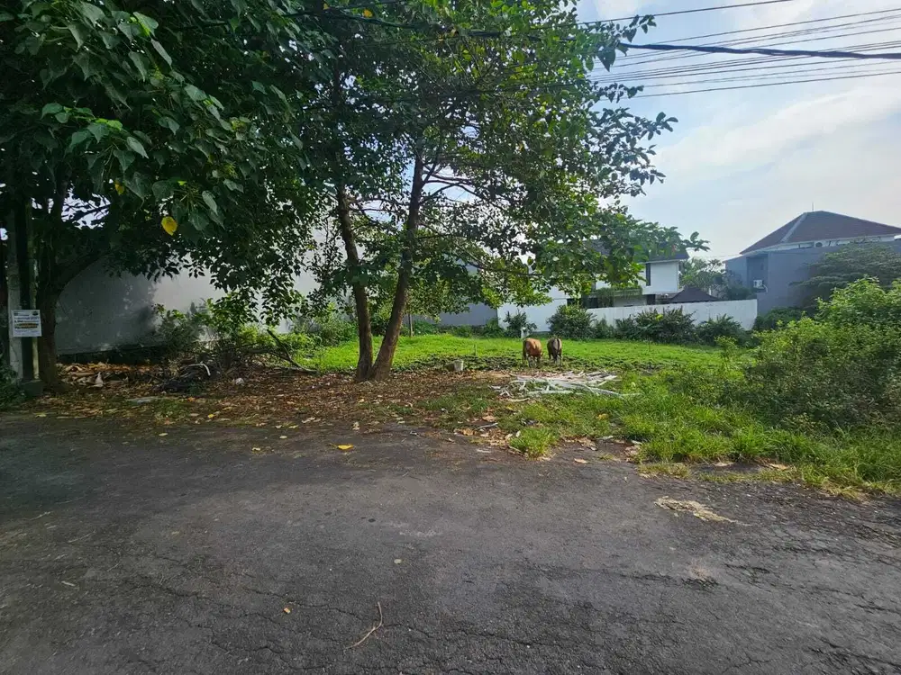 Tanah Strategis Siap Bangun di Umalas Kerobokan