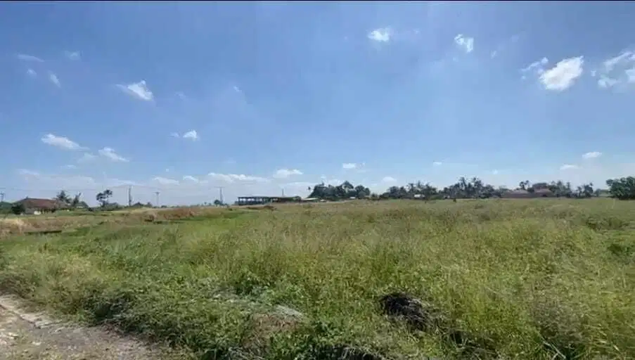 Tanah View Sawah 350m ke Pantai Kedungu Tabanan