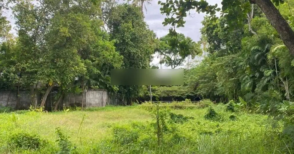 jarang ada tanah 100 meter ke seminyak square, sudah tembok keliling