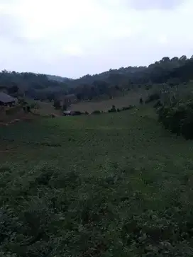 di jual lahan di Kutawaringin Sukaresmi cianjur