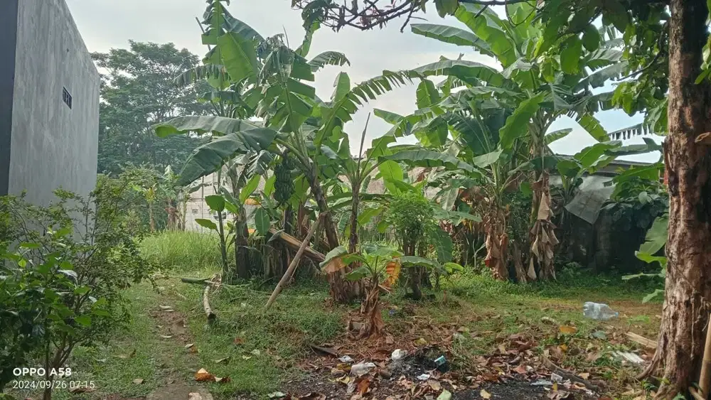 Di Jual Tanah Murah di Cilodong
