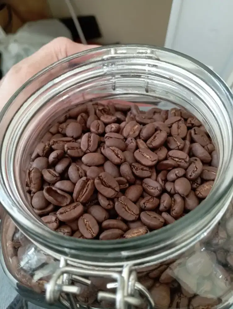 Gayo - Aceh Arabika