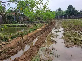 Dijual Cepat Tanah di Cipayung Puncak Bogor