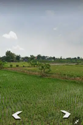 Lahan sawah luas 6 HA hanya 200 meter dari Gerbang Belahanrejo, Gresik