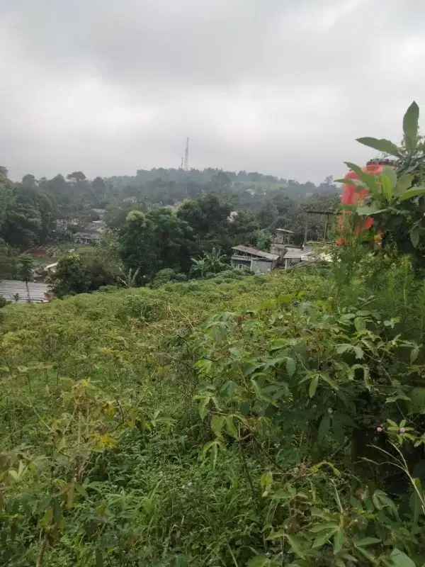 di jual lahan kosong view gunung untuk villa di gunungeulis dekat golf