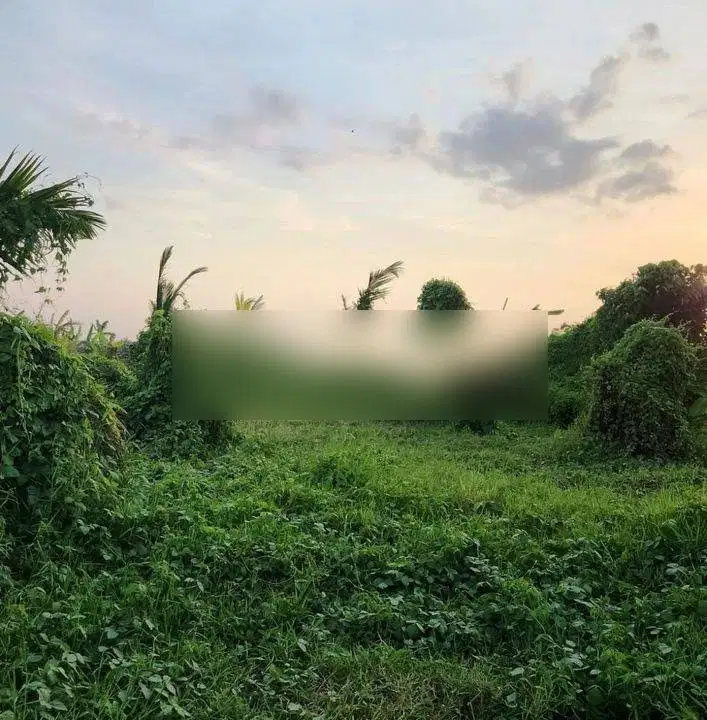 Tanah view sawah dan view laut di jalan pantai pasut tabanan