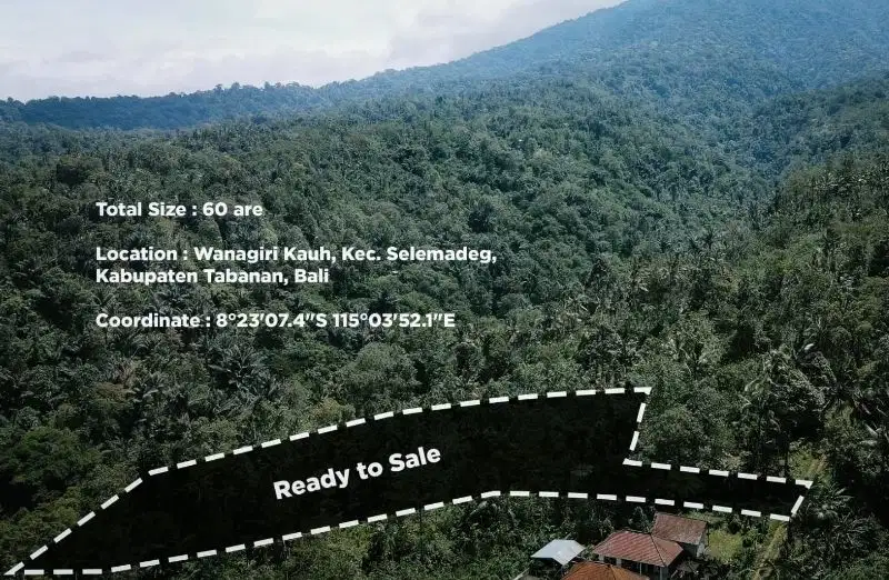 Tanah view gunung dan hamparan sawah di Tabanan, menghadap timur