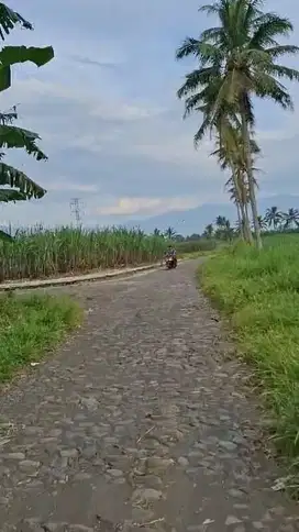 Tanah Poros Jalan Sumberkradenan Pakis Malang