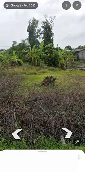 Lahan pertanian 10 HA harga 400 ribu permeter di Sooko, Mojokerto