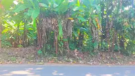 Jual tanah kebon Gerbo purwodadi