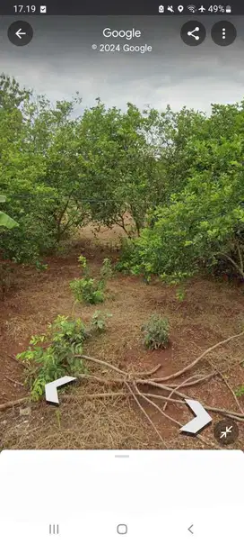 Lahan industry 100 HA harga 250 ribu permeter di Ujung Pangkah, Gresik