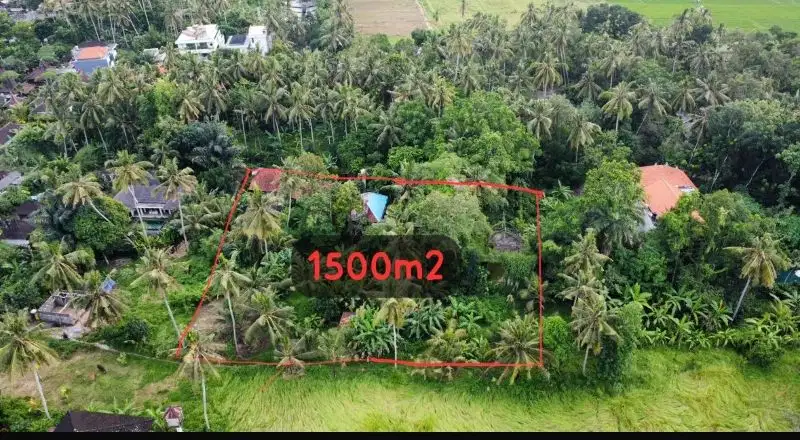 Tanah 1500m2 Dijual di Ubud Bali, Cocok untuk Villa atau Investasi