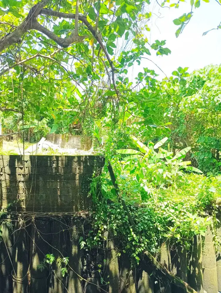 Tanah 200m2 Los Sungai di Cempaka, 15 Menit ke Canggu