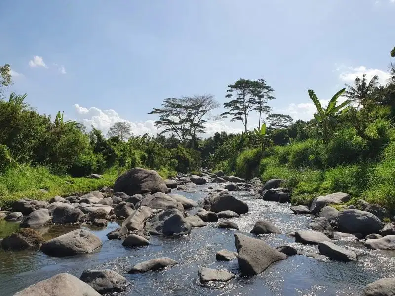 Nego, Tanah los sungai bonus bangunan ex wisata alam, view sawah