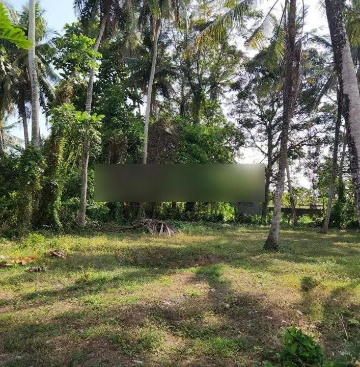 Tanah los sungai di jalan pantai pasut Tabanan, lebar depan 62 meter