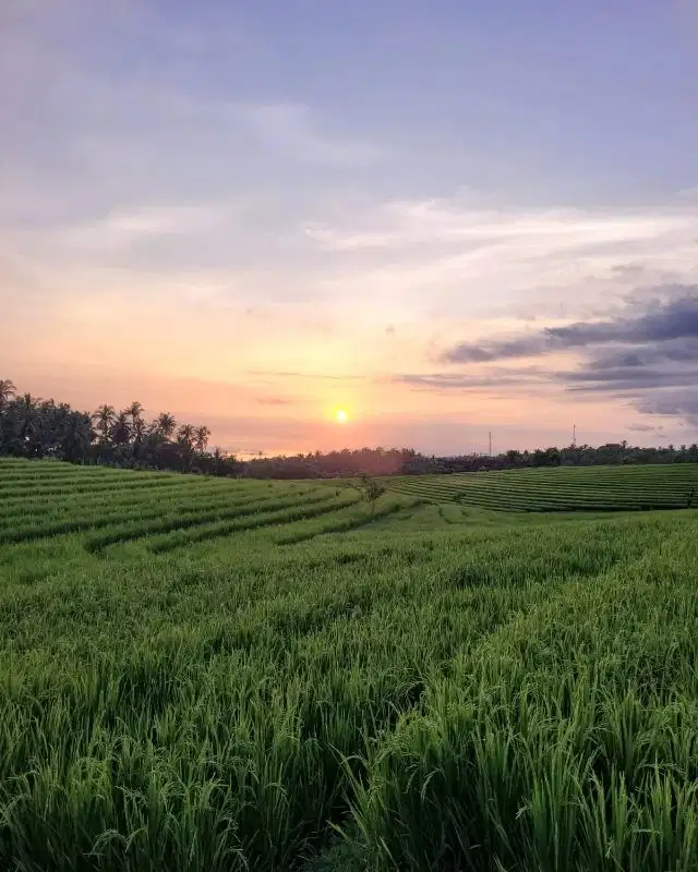 Tanah 750 meter ke pantai di Tabanan view Sunset, Gunung, Sawah