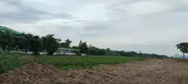 Kavlin Industri Modern Cikande view gunung dan dekat sekali dengan tol