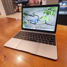 Macbook PRO retina 12 inch , early 2015