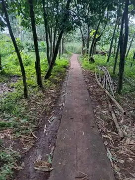 Tanah Kebun Bisa Buat Rumah Di Kp Nunuk Dekat Perum Buana 2