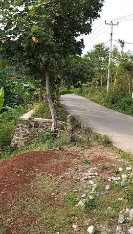Tanah Cocok Untuk Villa Samping Irigasi View Ubud