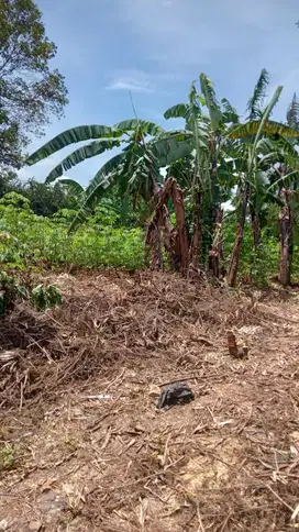 Tanah Ngantong Dg View Perkotaan Di Kawasan Tenang Awiligar, Bandung