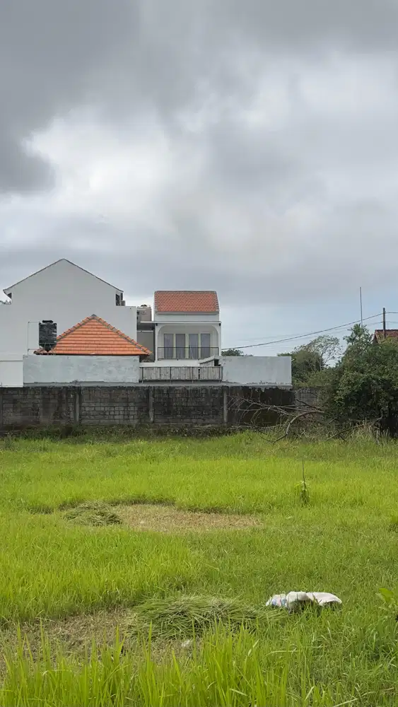 Dijual Murah Tanah 1000m2 Ungasan Bali Cocok Untuk Villa Kompleks