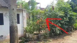Tanah Kavling Perum Saptoraya Pakis Malang