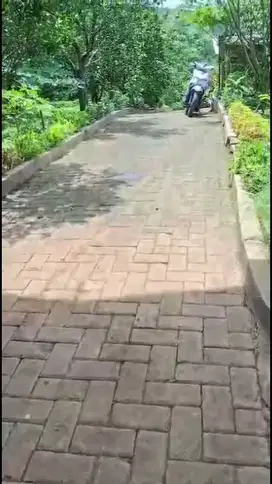 Kebun Jeruk Donowarih Karangoloso Malang