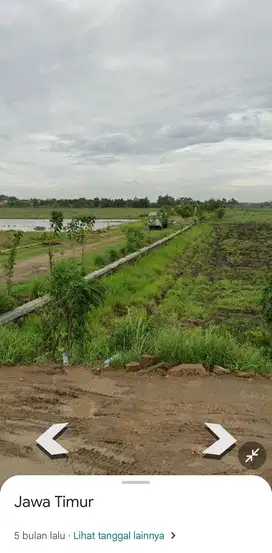 Lahan usaha luas 5 HA harga 700 ribu permeter di Wringinanom, Gresik
