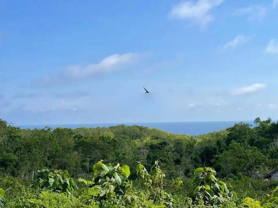Tanah kawasan villa mewah di uluwatu, lebar depan 60 meter