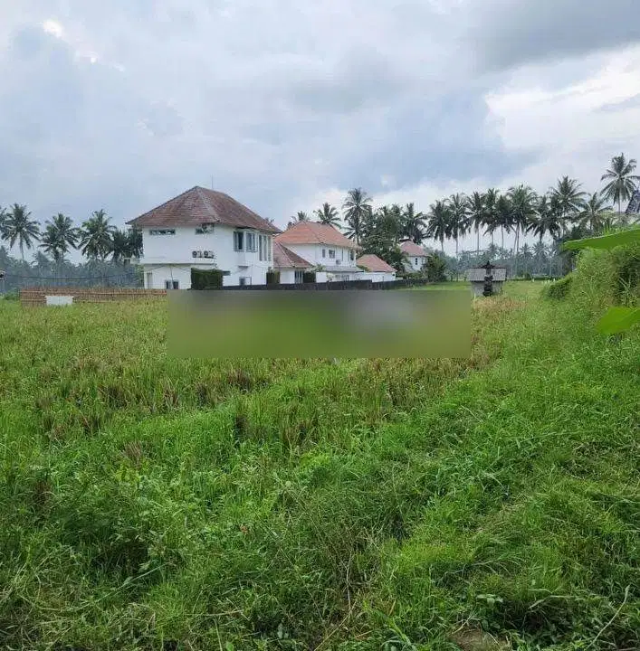 Tanah premium di jalan utama ubud, kawasan resort, kontur datar