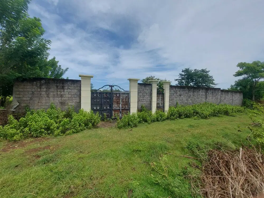 Tanah MURAH Dekat Hotel Ayana  Jimbaran