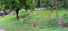 Dijual tanah kosong strategis pinggir jalan desa pengasinan gn sindur