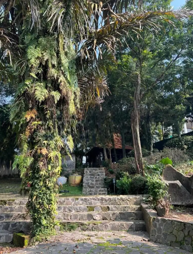 Murah ! Tanah Luas + Bangunan Villa Kecil Di Cigadung Raya Bandung