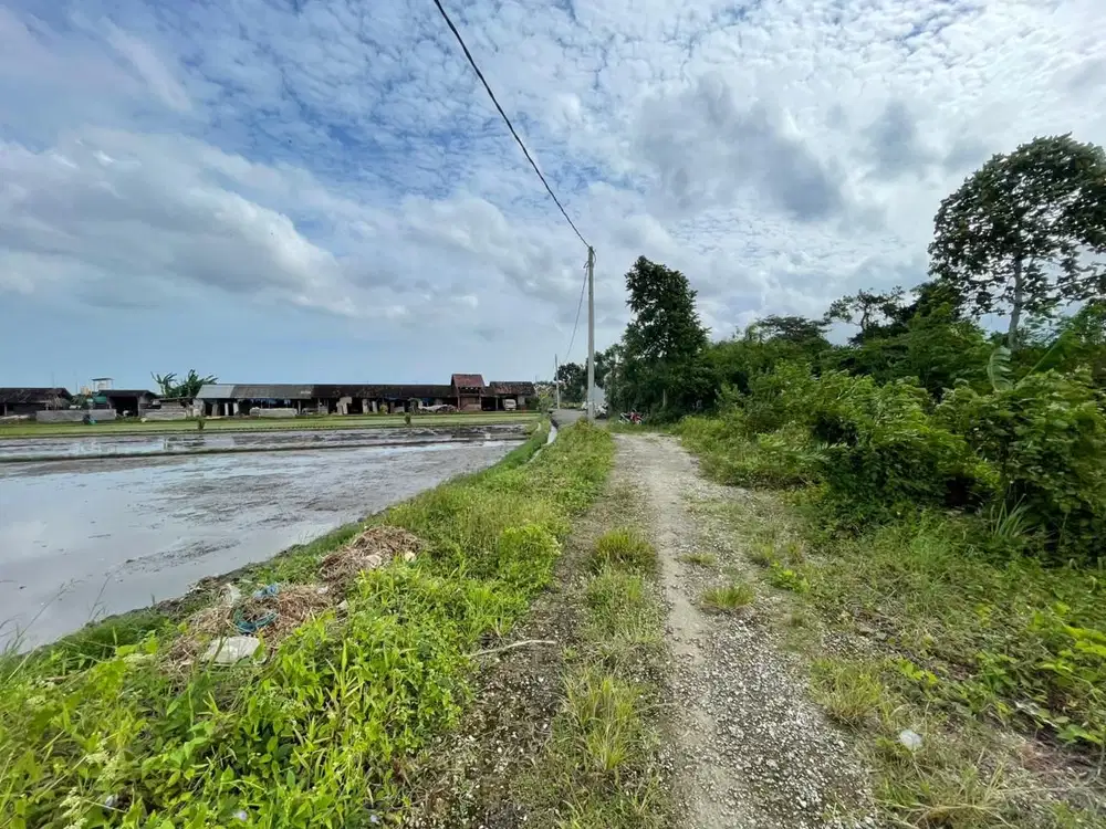 Tanah Kedungu View Sawah dan Sungai 10 Menit ke Pantai