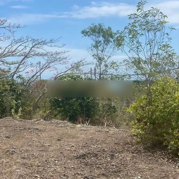 Tanah full view laut di jalan raya karang pandawa, akses jalan 5 meter