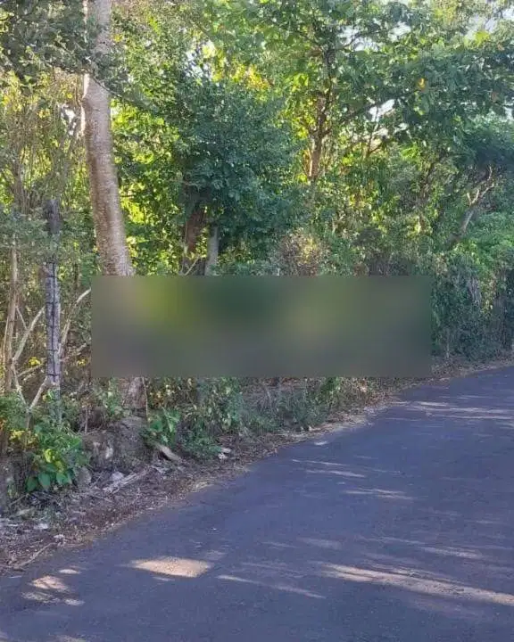 Tanah di jalan nabor Uluwatu, lebar depan 200 meter