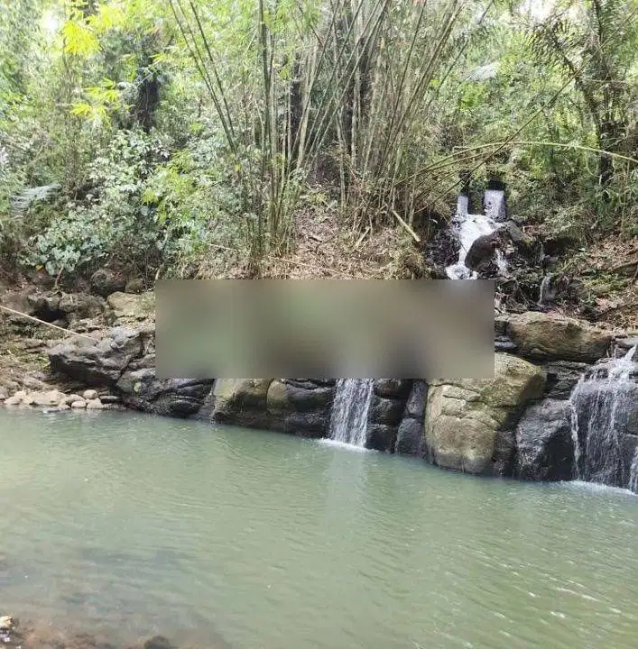 Tanah los tebing air terjun, view jungle dan sawah di Tabanan