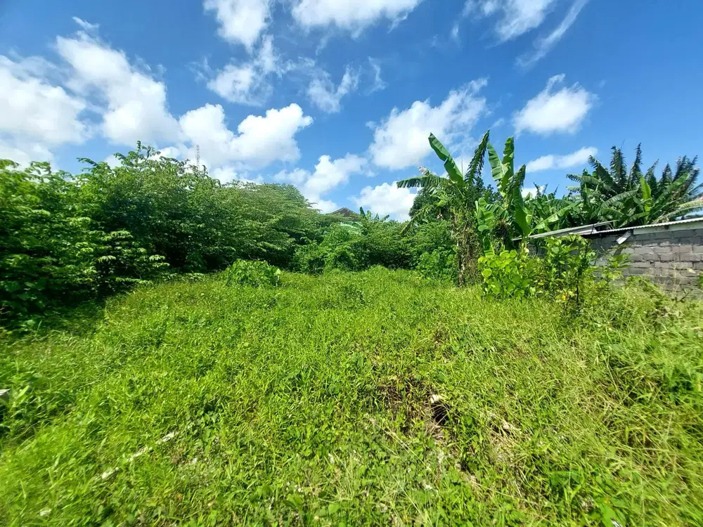 Dijual Tanah Strategis di Jl Raya Canggu Kerobokan