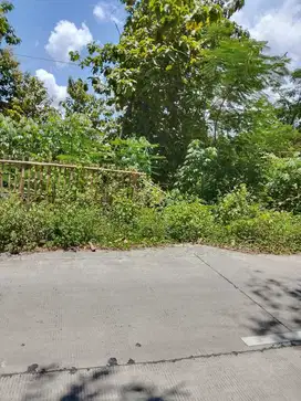dijual murah tanah zona industri di klaten